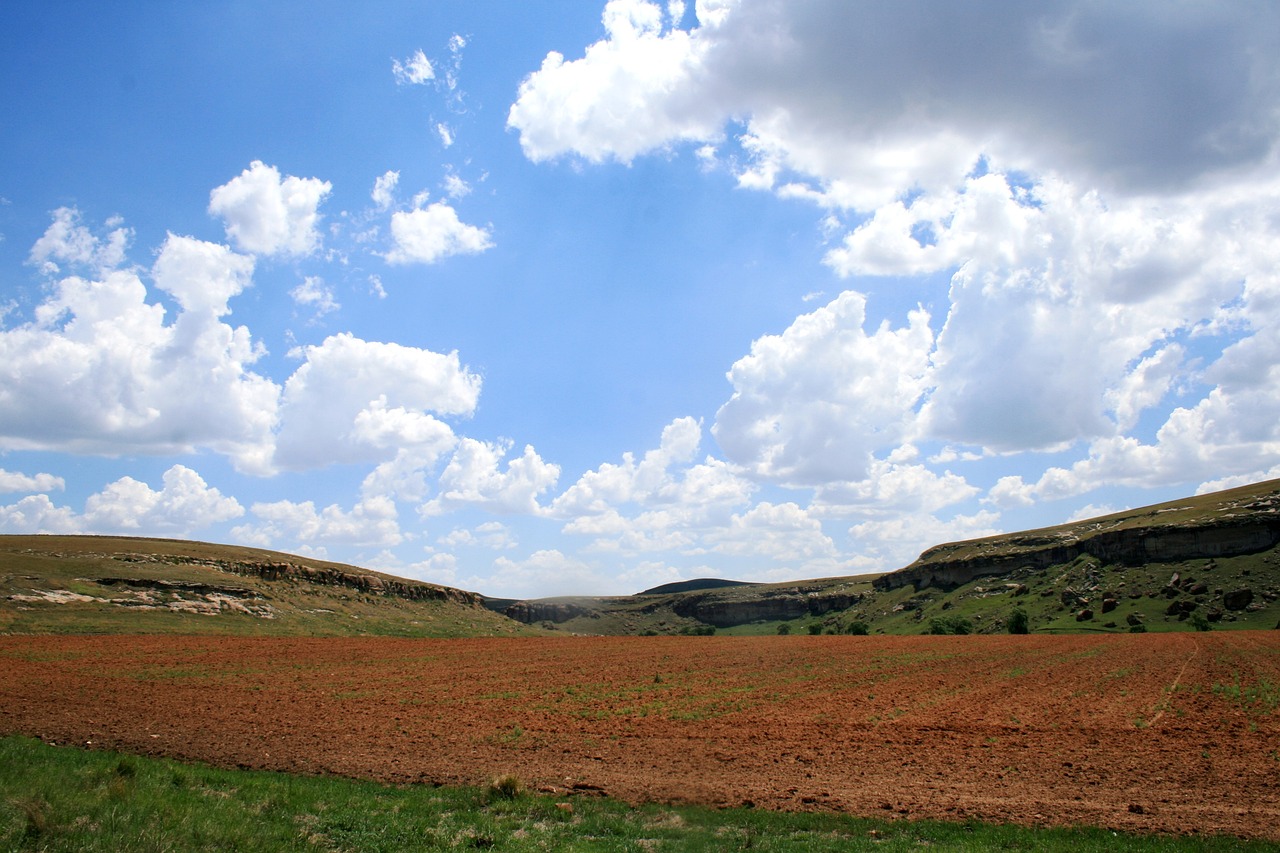 The Connection Between Healthy Soils and Biodiversity